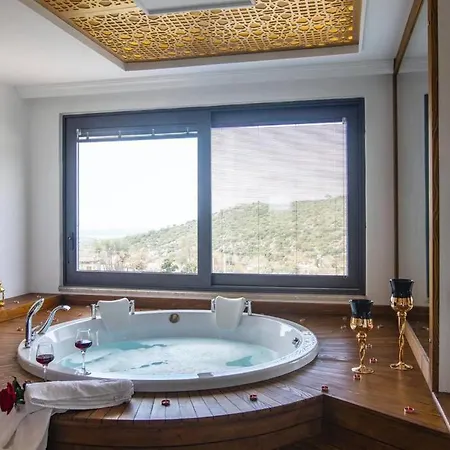 Artemis Villa